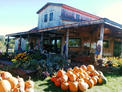 Boyer's Orchard