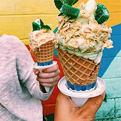 Ice Cream